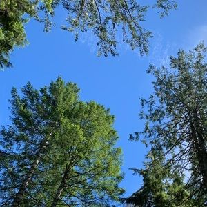 Meet your Posher, Alexa